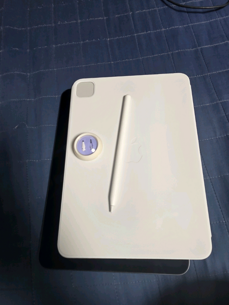 아이패드 프로 M4 11인치 WIFI 256GB 이미지