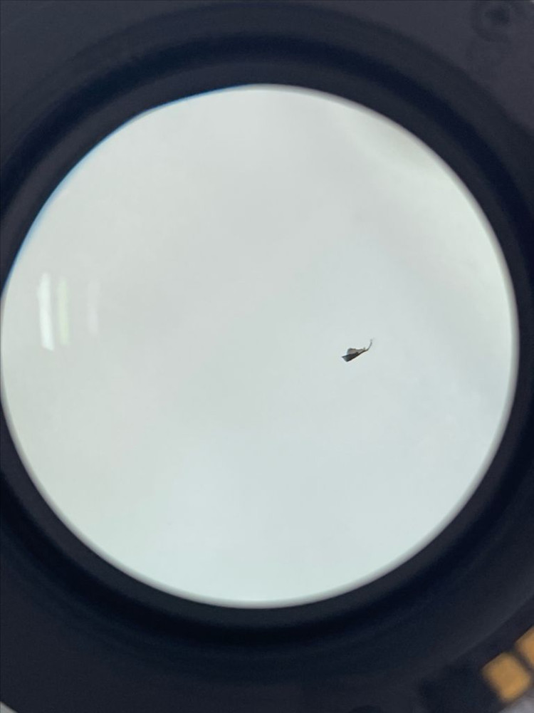 DSLR 카메라 + 50mm f/1.8 렌즈 세트 이미지