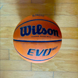 윌슨 에보 넥스트 (윌슨 EVO NXT) 농구공 이미지