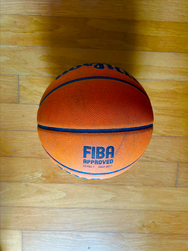 윌슨 에보 넥스트 (윌슨 EVO NXT) 농구공 이미지