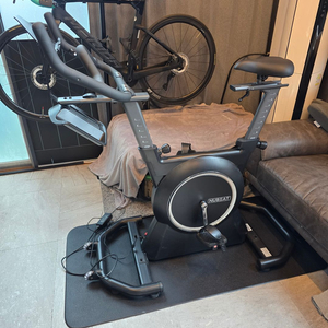 뉴비트 뉴스킨 실내자전거 스마트 로라 이미지