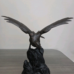 멋진. 독수리. 한점 판매합니다 이미지