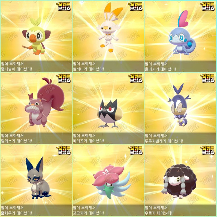 이로치 포켓몬 분양 / 소드 실드 / 닌텐도 스위치 이미지