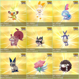 이로치 포켓몬 분양 / 소드 실드 / 닌텐도 스위치 이미지