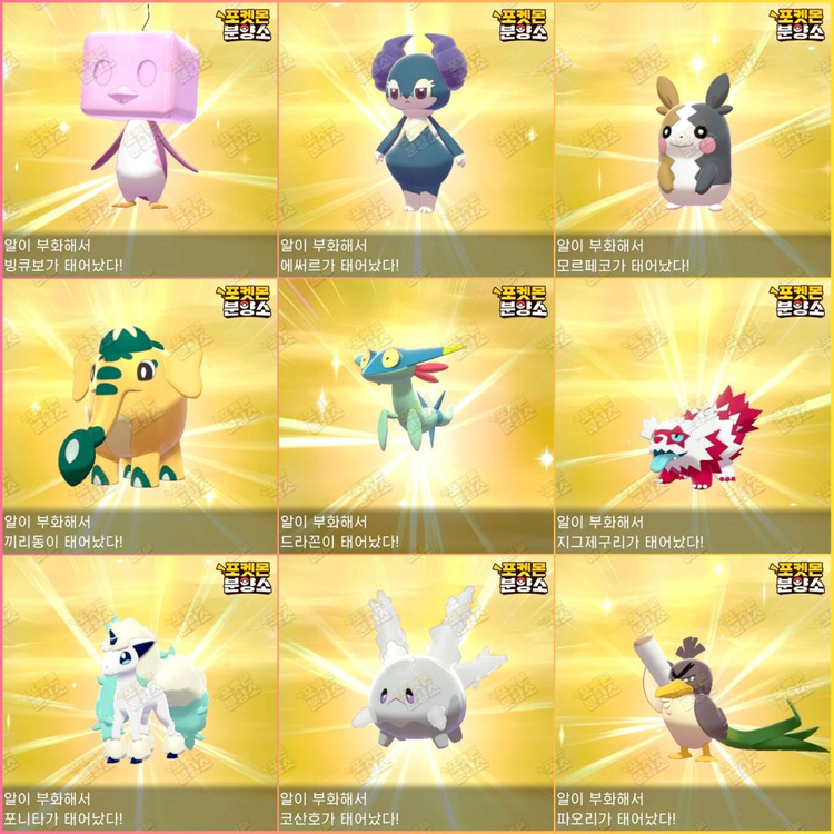 이로치 포켓몬 분양 / 소드 실드 / 닌텐도 스위치 이미지