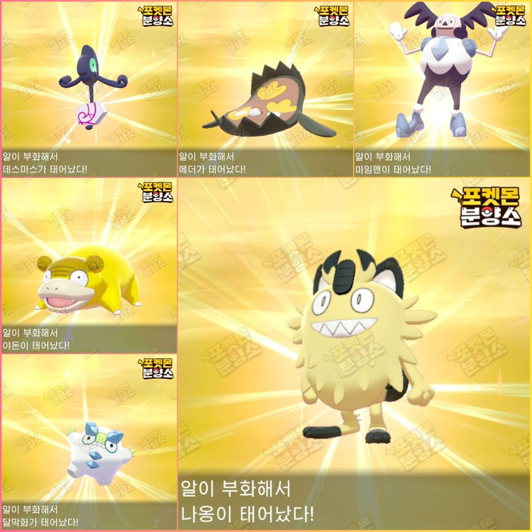 이로치 포켓몬 분양 / 소드 실드 / 닌텐도 스위치 이미지