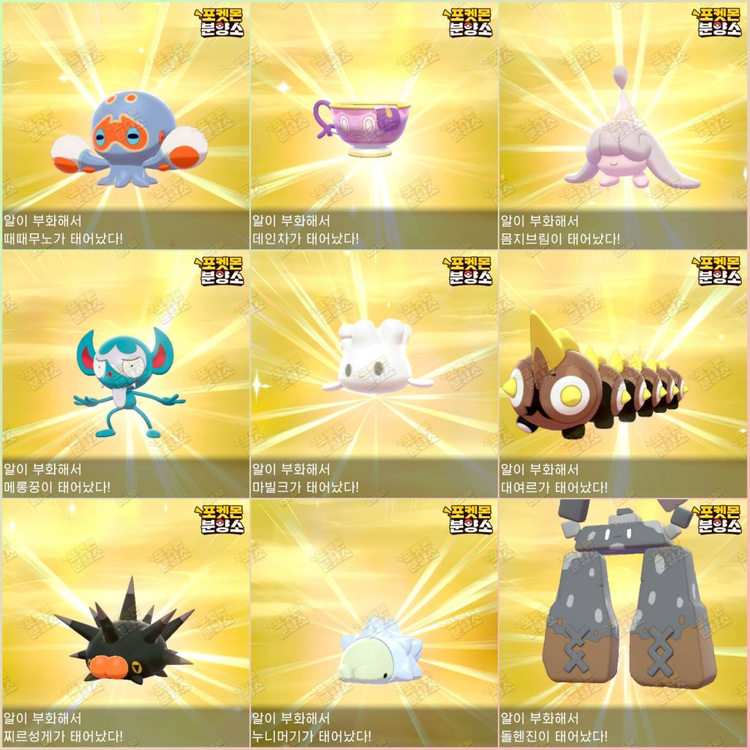 이로치 포켓몬 분양 / 소드 실드 / 닌텐도 스위치 이미지