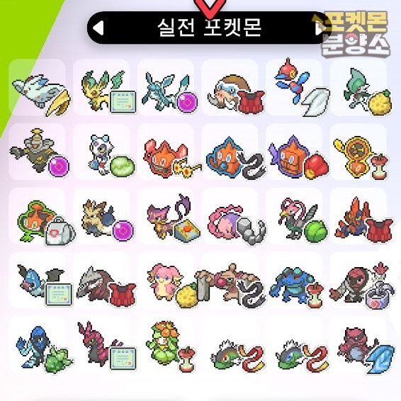 실전 샘플 포켓몬 분양 / 소드 실드 / 닌텐도 스위치 이미지