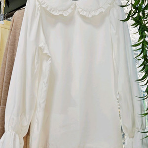 [새상품]화이트 프릴 카라 블라우스(M) 이미지