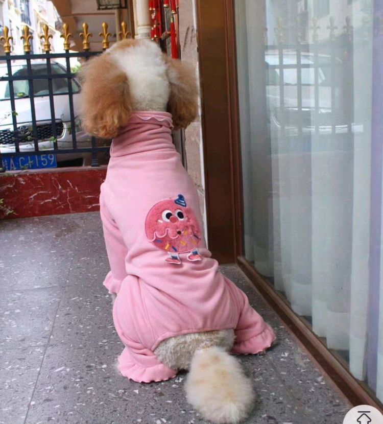 휘핏옷/그레이하운드옷/대형견옷 이미지