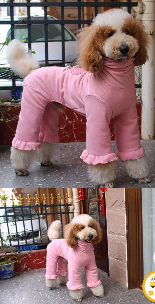 휘핏옷/그레이하운드옷/대형견옷 이미지