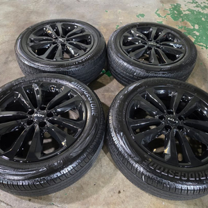 올뉴카니발 블랙 19인치 휠타이어 이미지