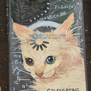 갤럭시 S26 울트라 케이스티파이 케이스 팝니다 이미지