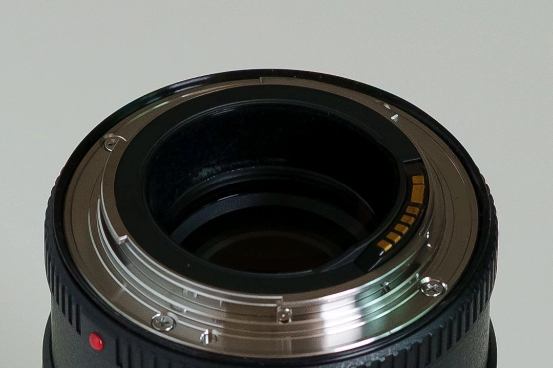 캐논 EF 100mm F2.8 L MACRO IS USM 백마엘 이미지
