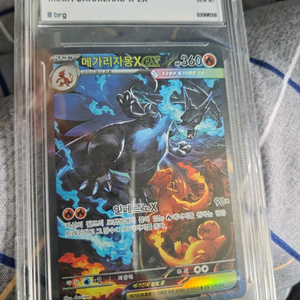 메가 리자몽 x ex brg 10등급 이미지