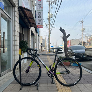 엔진11 크릿디 픽시 자전거 팝니다. 이미지