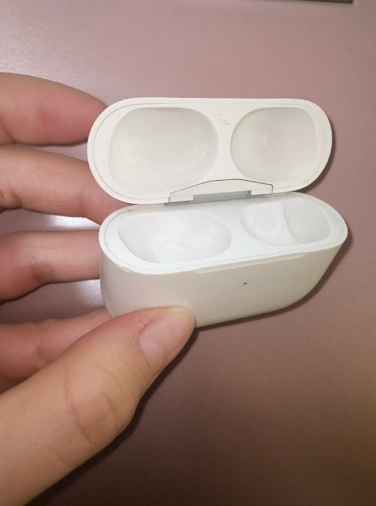 에어팟 프로2 본체 c타입 이미지