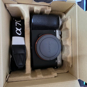 소니 a7c2실버 팝니다 이미지