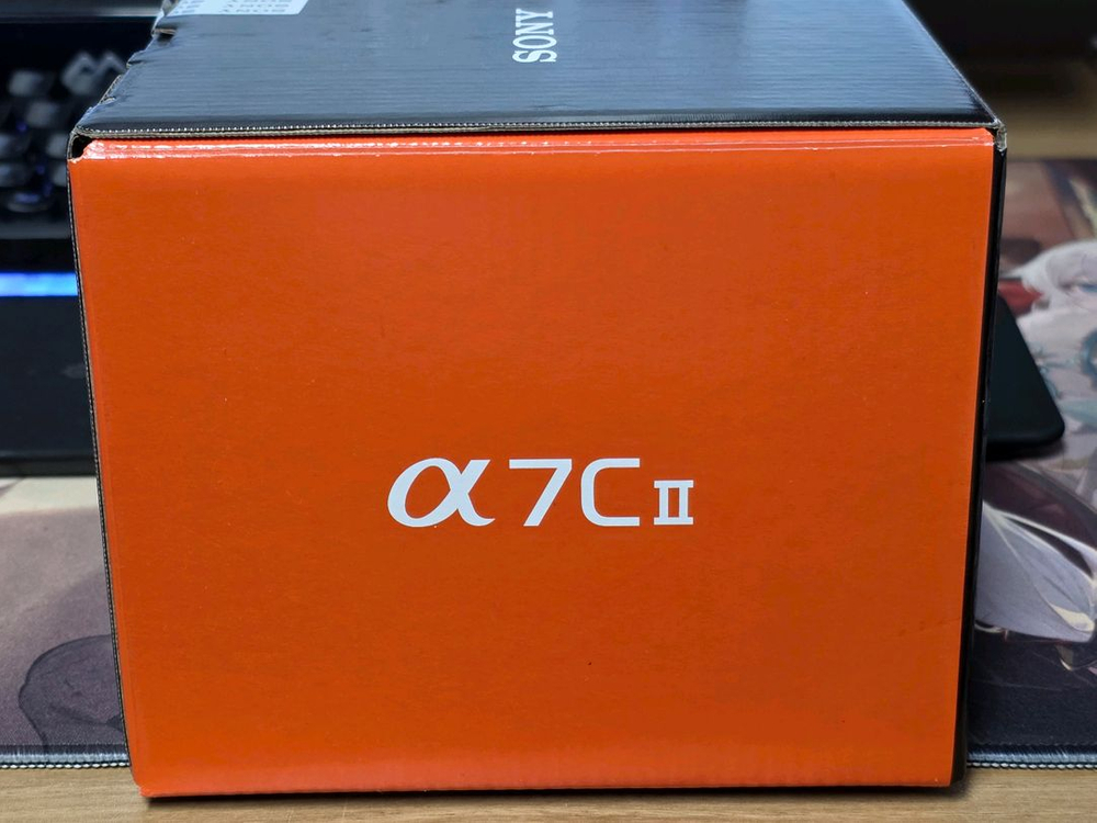 소니 a7c2실버 팝니다 이미지