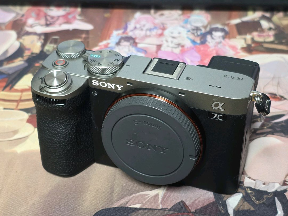 소니 a7c2실버 팝니다 이미지