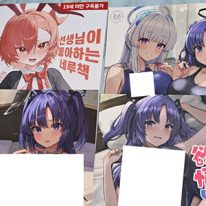 블루아카이브 동인지 4권, 일러스트북 1권 일괄 판매 이미지