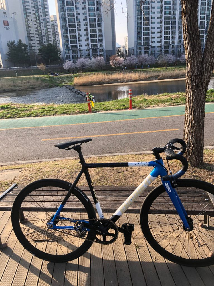 엔진11 크릿디 블루스킨 판/대 이미지