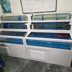 업소용 대형 어항 세트 이미지