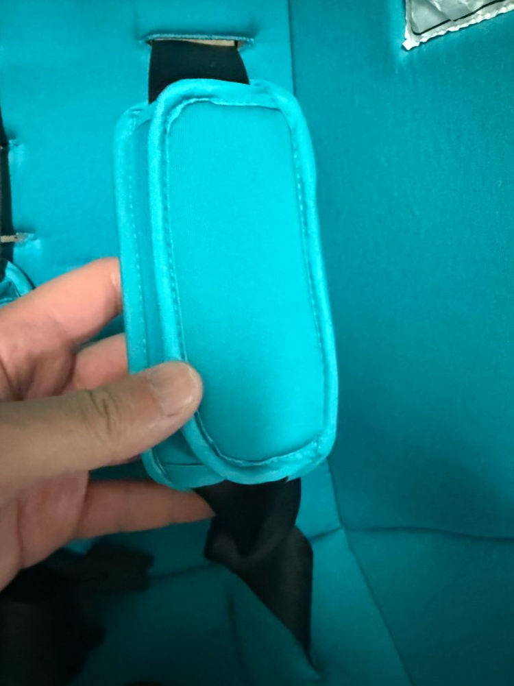 페도라 바구니 카시트 팝니다 이미지