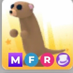 입양하세요 메가네온 미어캣 이미지