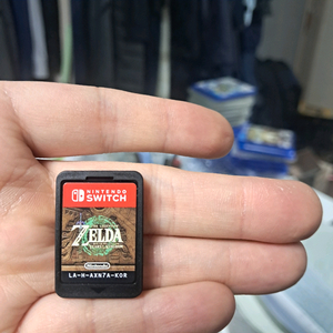 닌텐도 스위치 젤다 왕국의 눈물 알칩 이미지