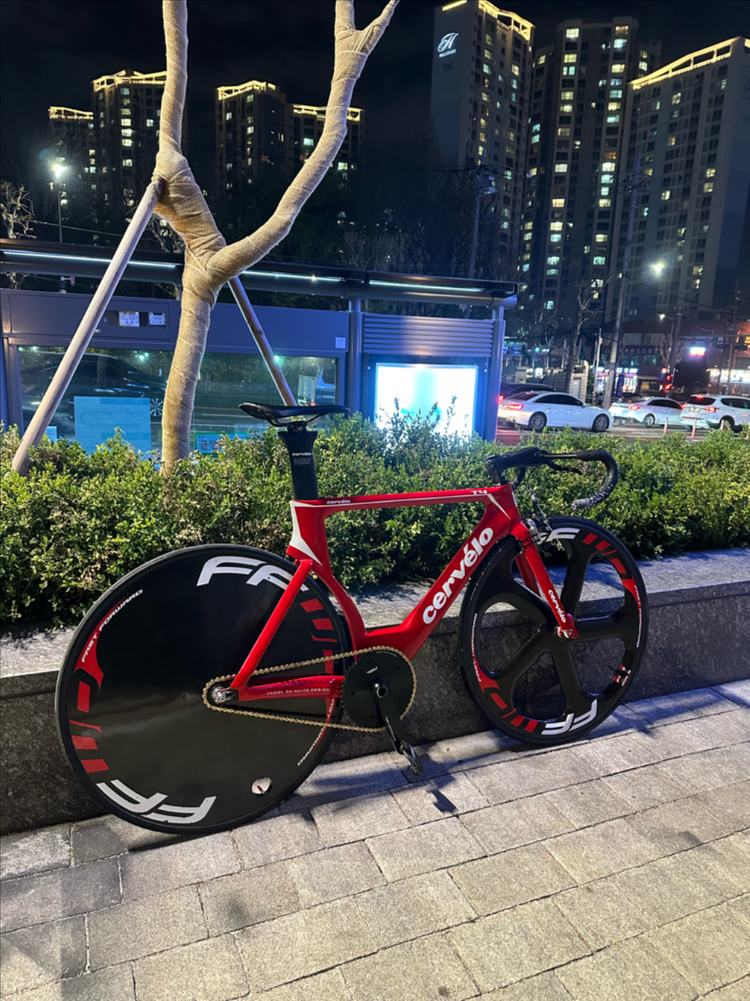 페포 정품 오발이 이미지