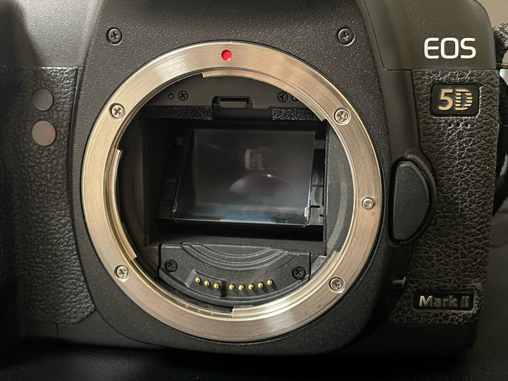 캐논 EOS 5D mark2 바디 이미지