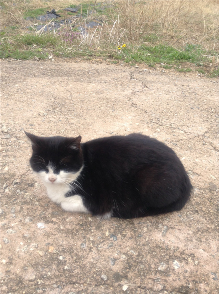 애플 아이팟 터치 5세대 블랙 / 블루 이미지