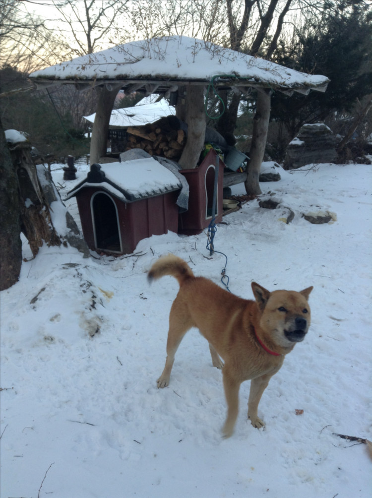 애플 아이팟 터치 5세대 블랙 / 블루 이미지