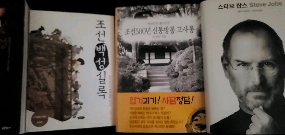 조선실록 스티브 잡스 등 이미지