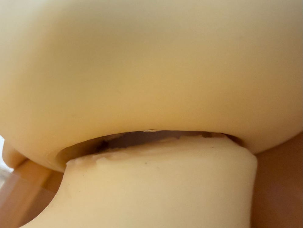 그리폰 엔터프라이즈 1/2.5스케일 미소녀 피규어 내여귀 코우사카 키리노 네코미미 수영복 부드러운 바스트Ver. 이미지