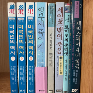 미국인의 역사 영미 문학 서적 이미지