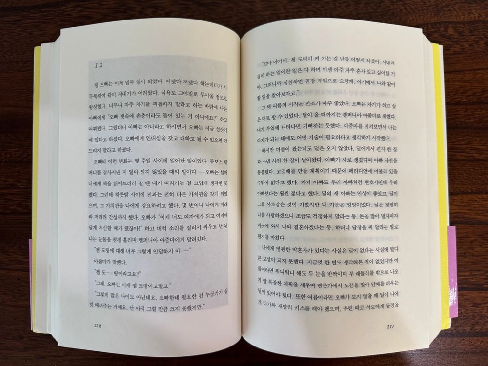 미국인의 역사 영미 문학 서적 이미지