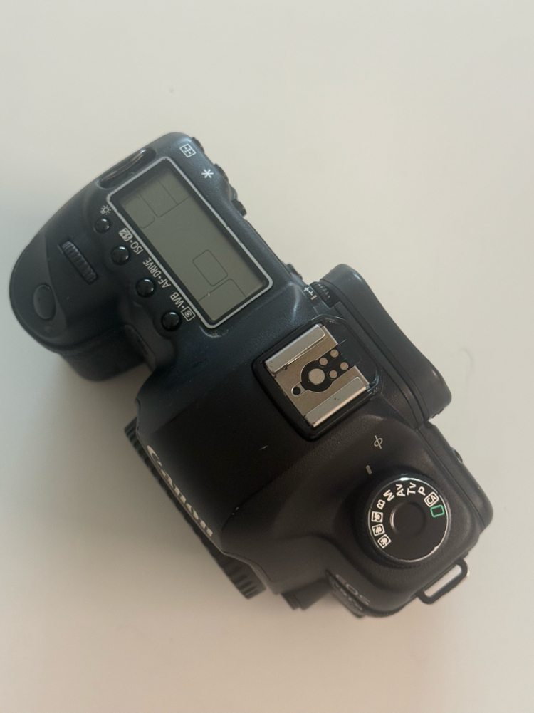 캐논 EOS 5D Mark II 이미지