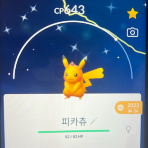 포켓몬고 핑크왕관 이로치 피카츄 이미지