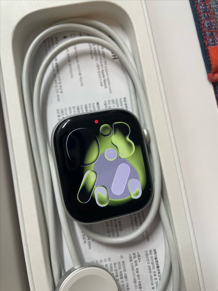 애플워치10 46mm 실버 SS급 이미지