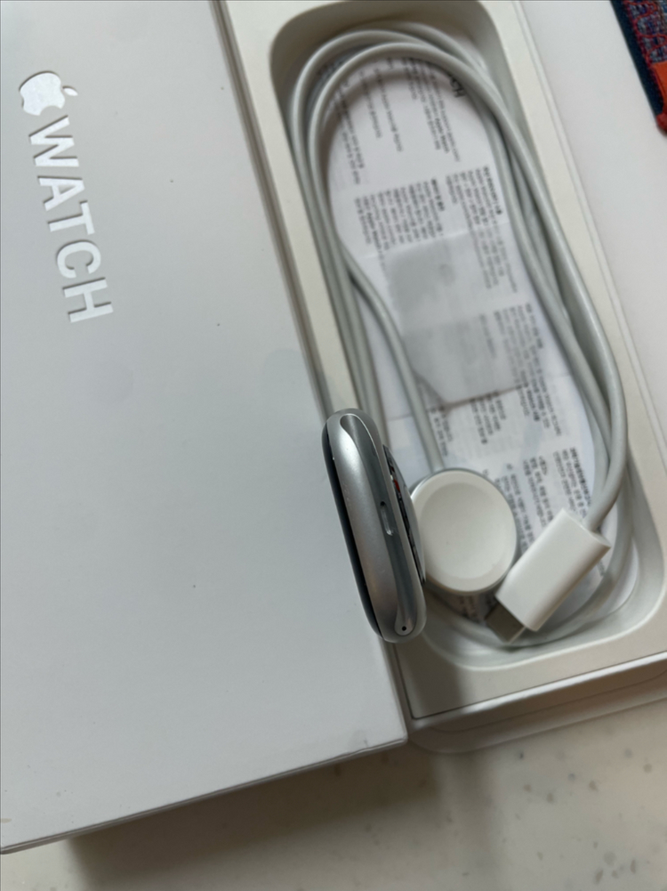 애플워치10 46mm 실버 SS급 이미지