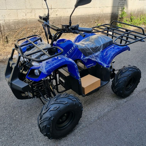 전기ATV 판매합니다 (초특별가) 이미지