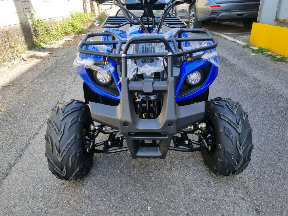 전기ATV 판매합니다 (초특별가) 이미지