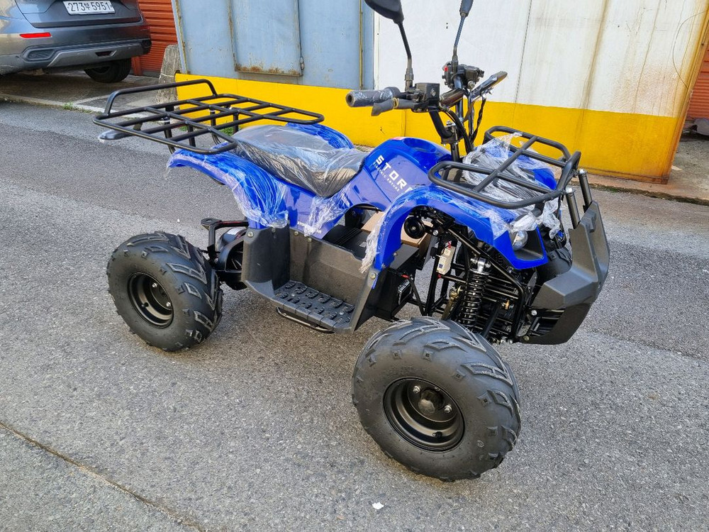 전기ATV 판매합니다 (초특별가) 이미지