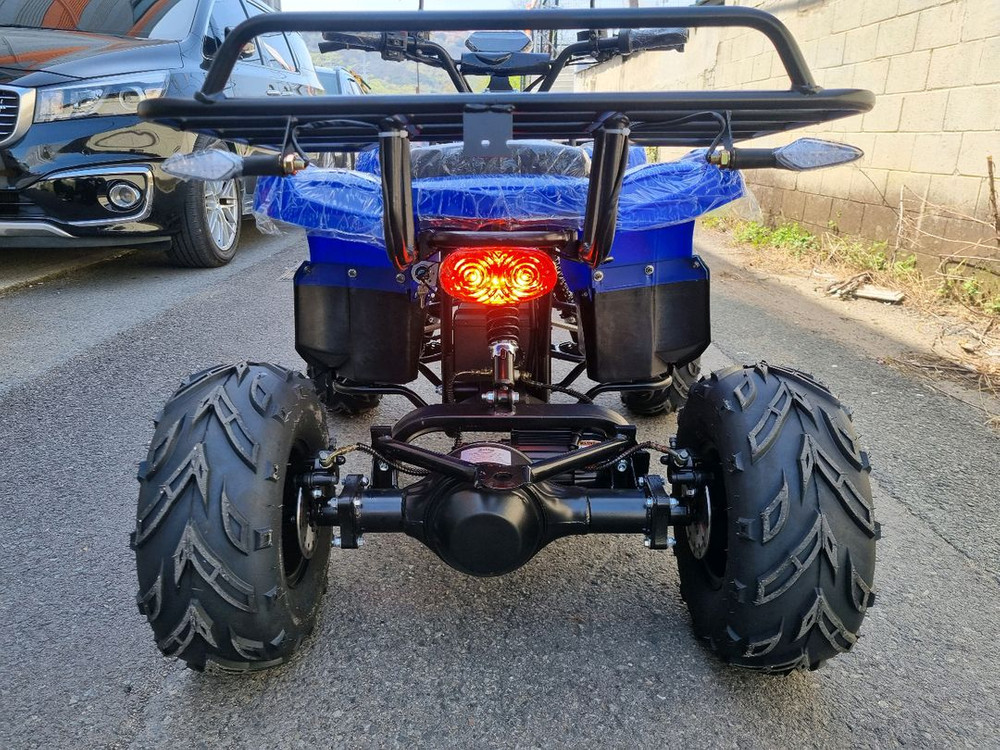 전기ATV 판매합니다 (초특별가) 이미지