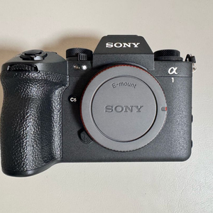 소니 a1 II 플래그십 [ ILCE-1M2 ] *사은품 픽디자인 스트랩 이미지