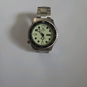 시티즌 복어 풀루메 이미지