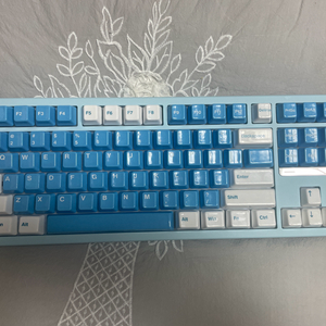 evo80 키보드+세라키 세라믹키캡 이미지