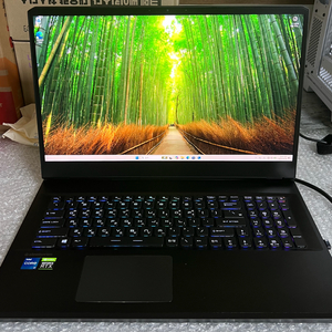 MSI GP76 17인치 i7-11800H, RTX3070 게이밍 노트북 이미지